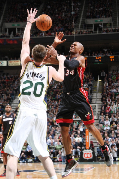 州雄獅难以 州雄獅难以