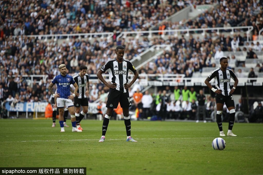 可管理的伤 可管理的伤